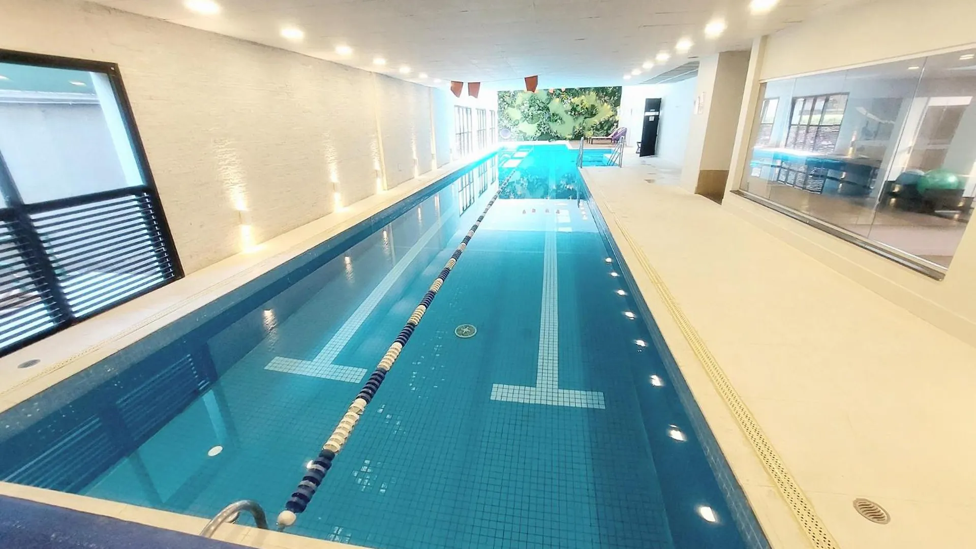 Apartment Tem Tudo Piscina Academia Sauna Squash Sao Paulo